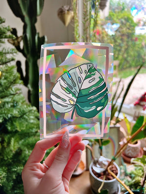 Jess Weymouth | Variegated Monstera Suncatcher Window Decal