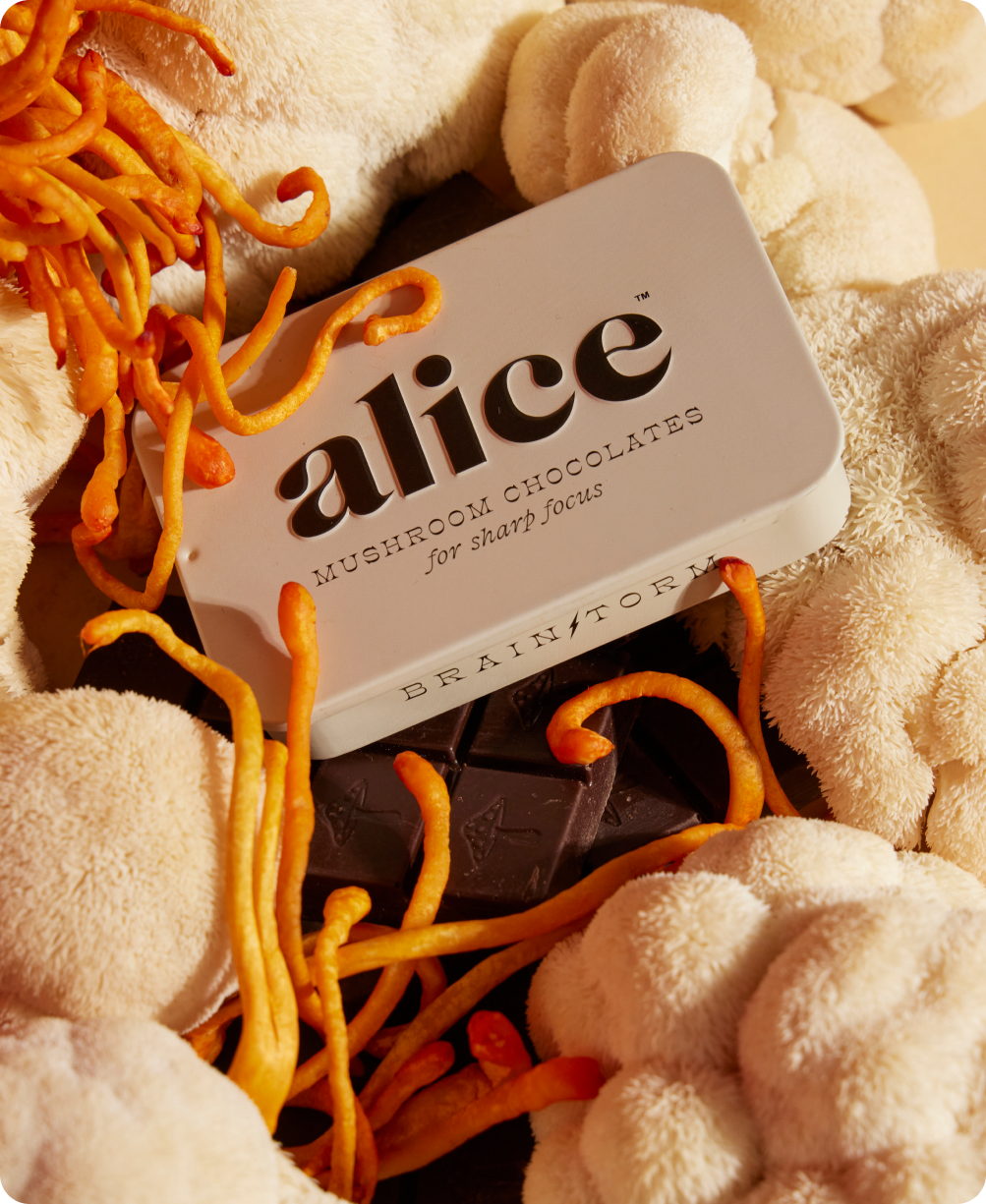Alice Mushrooms Brainstorm - for sharp focus