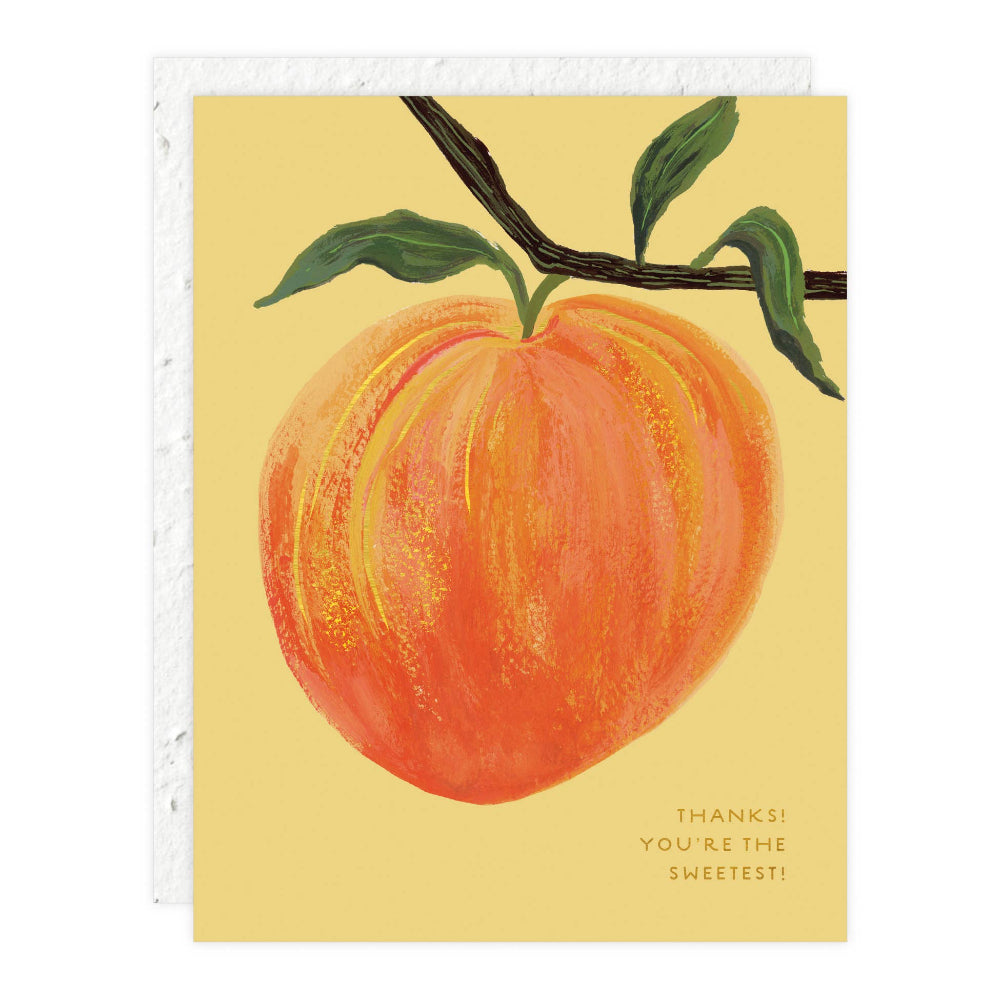 Seedlings Thank You Card | Peach