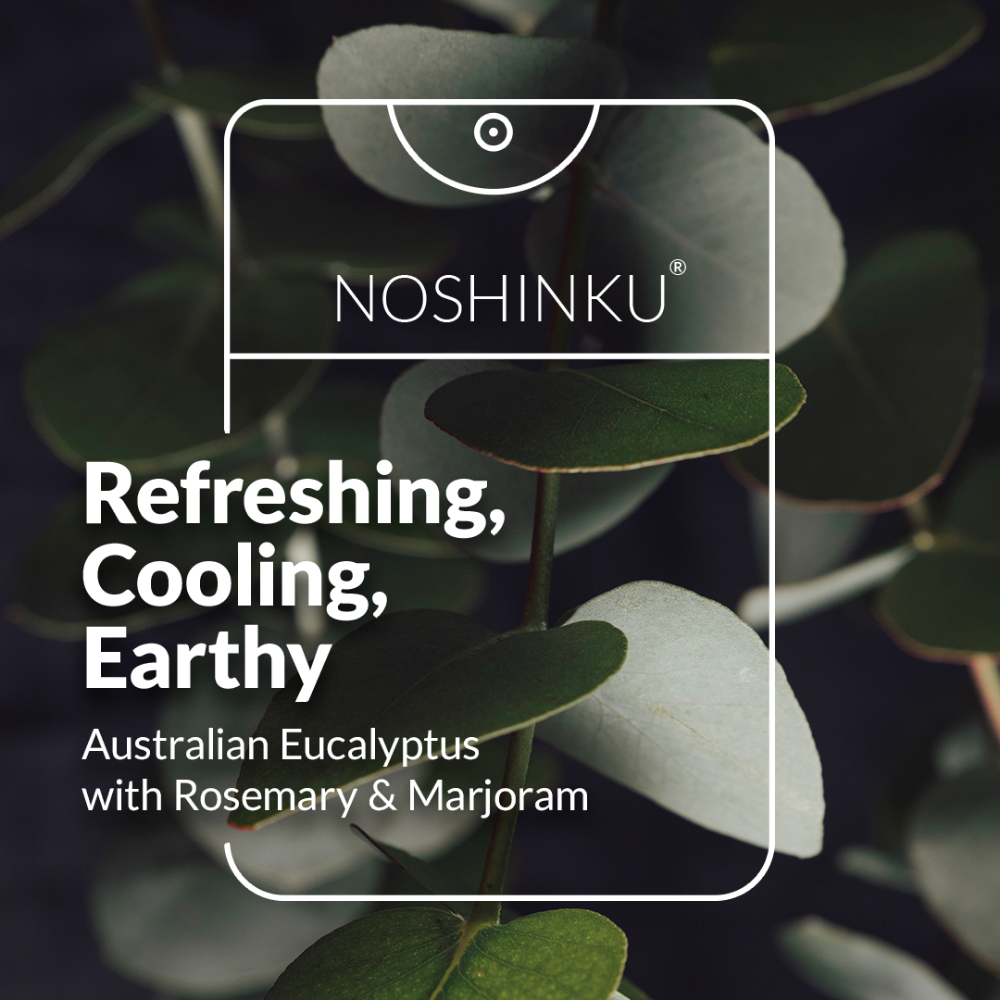 Noshinku Eucalyptus Moisturizing Pocket Hand Sanitizer