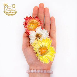 Faiza Naturals | Sunset Sunflower with White Sage Smudge (Red White Yellow)