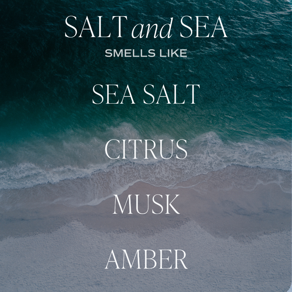Sweet Water Decor Salt and Sea Reed Diffuser