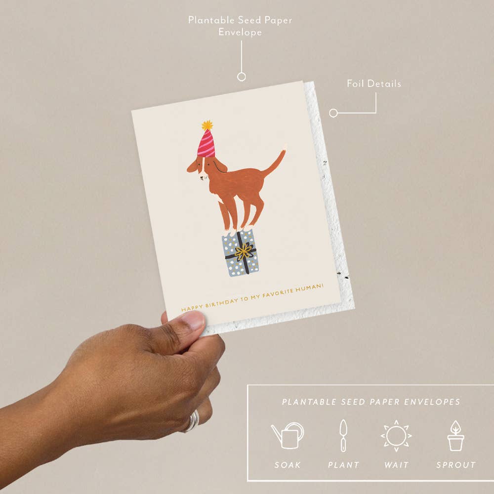 Seedlings Birthday Card | Birthday Dog