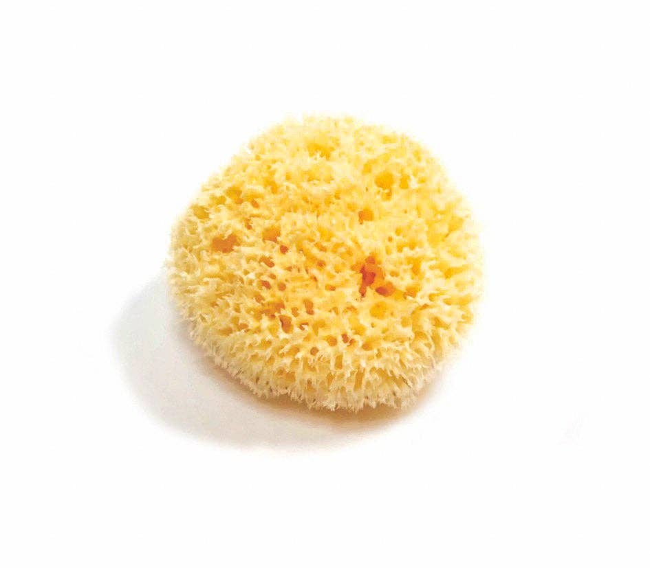 Smile Boutiques Natural Sea Sponge
