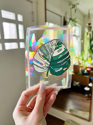 Jess Weymouth | Variegated Monstera Suncatcher Window Decal