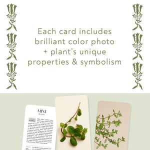 The Botanicals Deck | 70 Plants and Flowers to Enhance Your Life