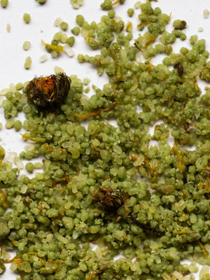 Merigold Calendula & Clay Bath Soak | 3 oz