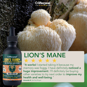 Life Cykel Mushrooms ~ Lion's Mane+ Liquid Double Extract 60 ml