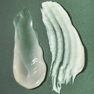Rahua Aloe Vera Shampoo