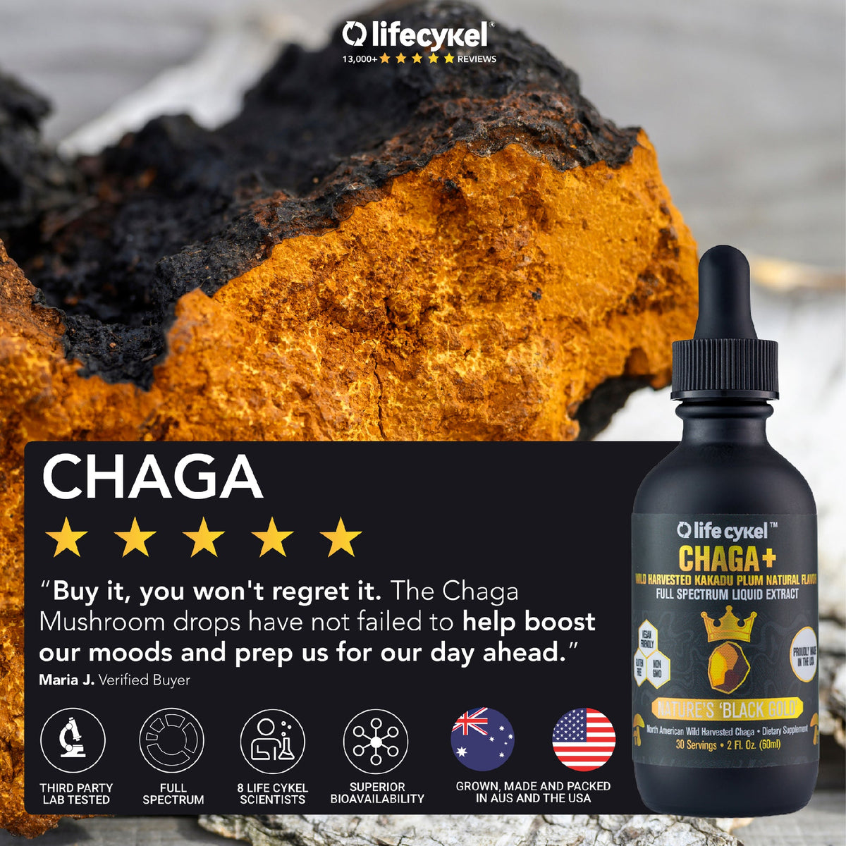 Life Cykel Mushrooms ~ Chaga+ Liquid Double Extract 60 ml - Wildcraft