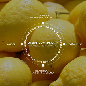 Fitglow Beauty Foundation+ | Herbal Hyaluronic and Vitamin C Photo-Filtering Foundation