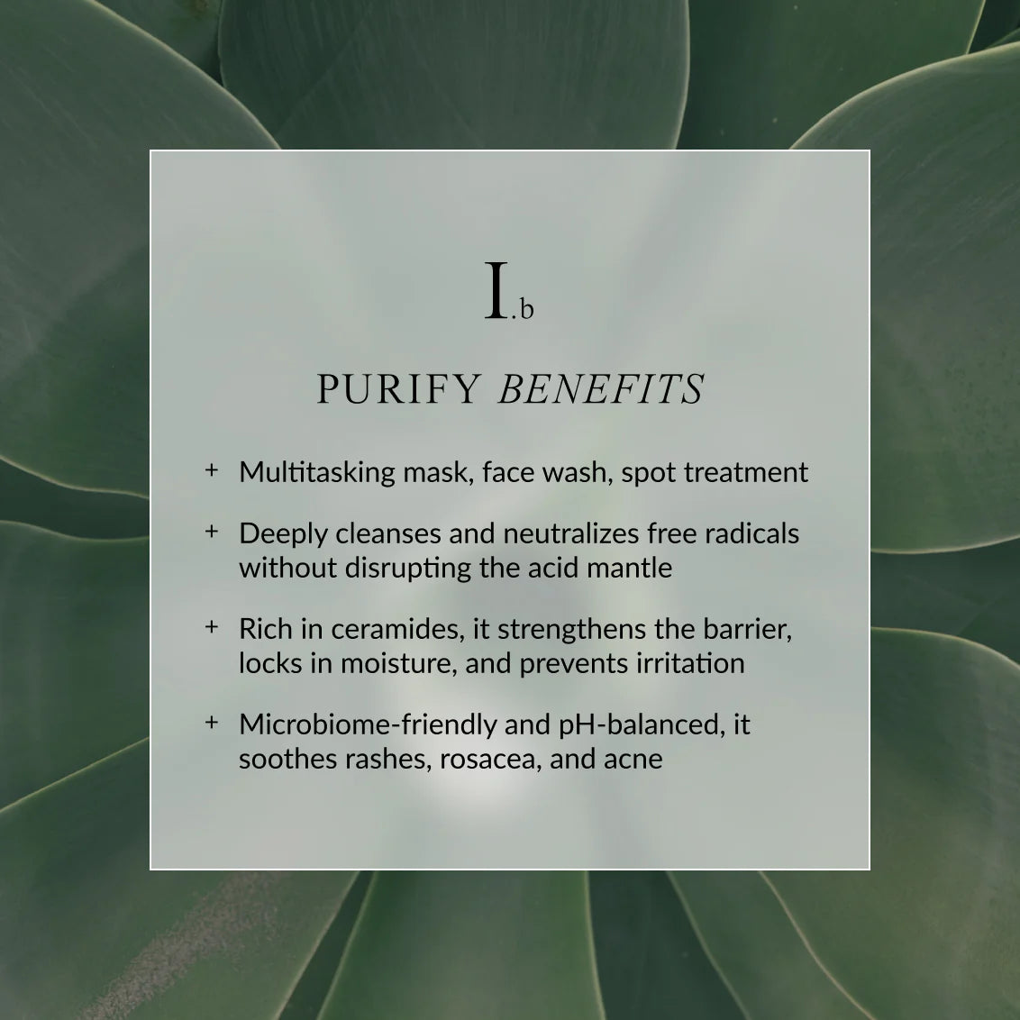 LINNE PURIFY Face Wash | Travel Size