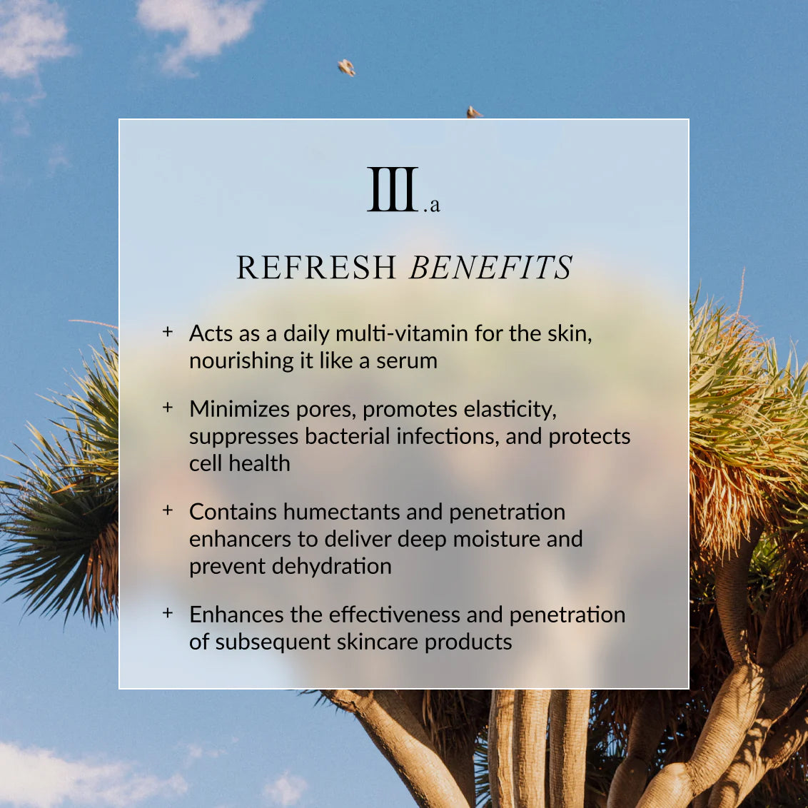 LINNE REFRESH Mineral Face Mist | 60ml