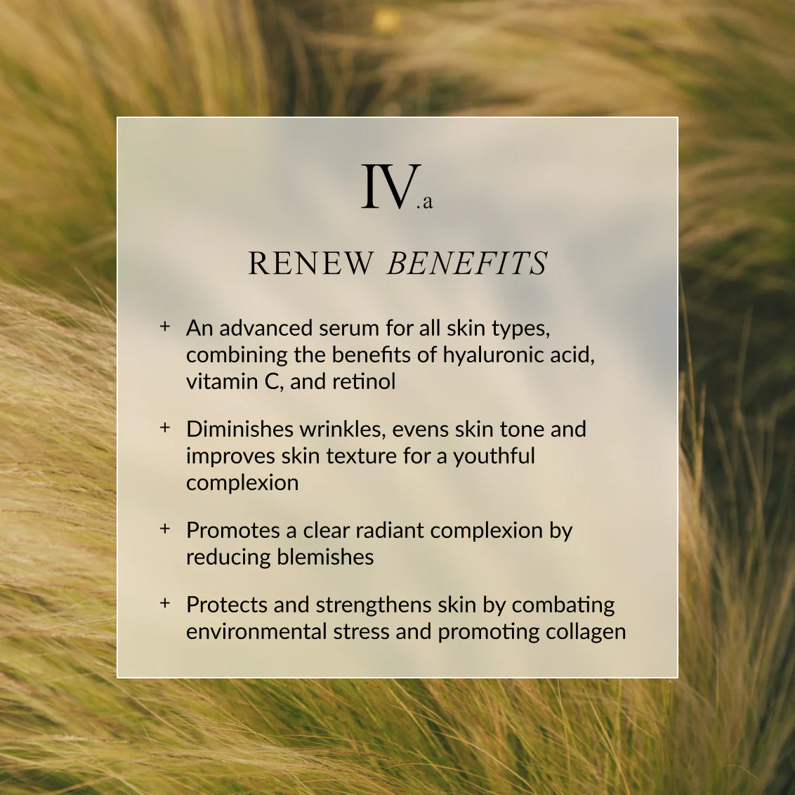 LINNE RENEW Face Serum