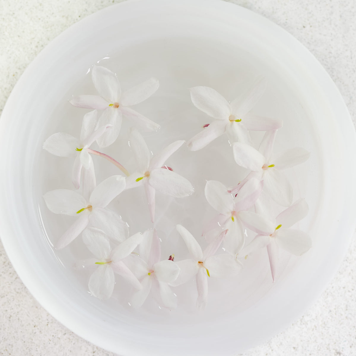 PRE-ORDER | Laurel *Limited Edition* Hydrating Elixir C | Jasmine Hibiscus