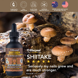 Life Cykel Mushrooms ~ Shiitake+ Liquid Double Extract 60 ml