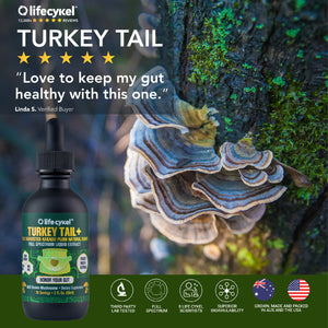 Life Cykel Mushrooms ~ Turkey Tail+ Liquid Double Extract 60ml