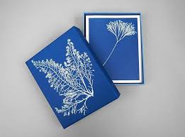 Sunprint Notecards & Envelopes