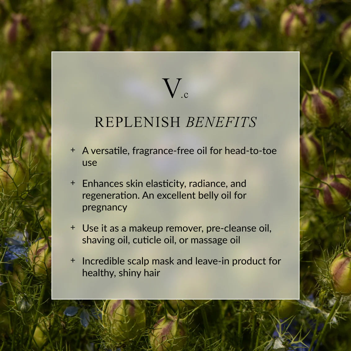 LINNE REPLENISH Everywhere Oil