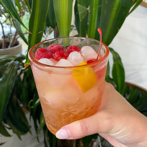 Hand holding a glass of a colorful drink with ice and fruit against a green plant background