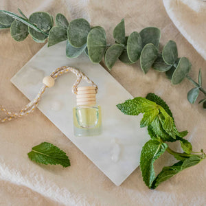 Ivy & Sage Collection - Cactus Flower: Car Diffuser: Packaged