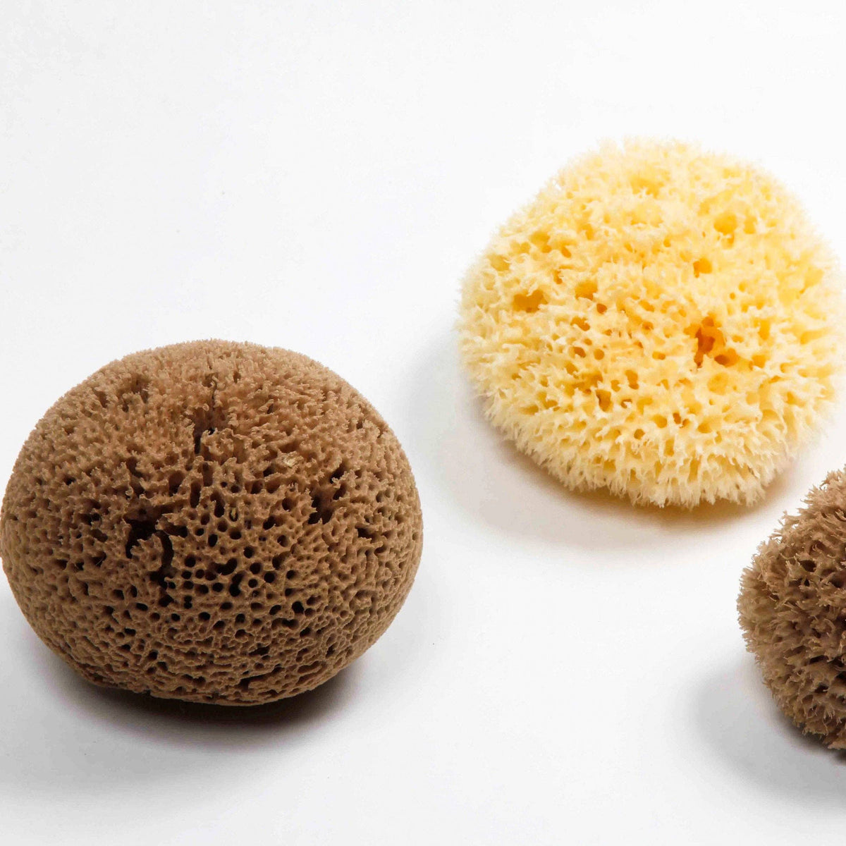 Smile Boutiques Natural Sea Sponge