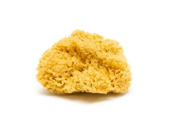 Smile Boutiques Natural Sea Sponge