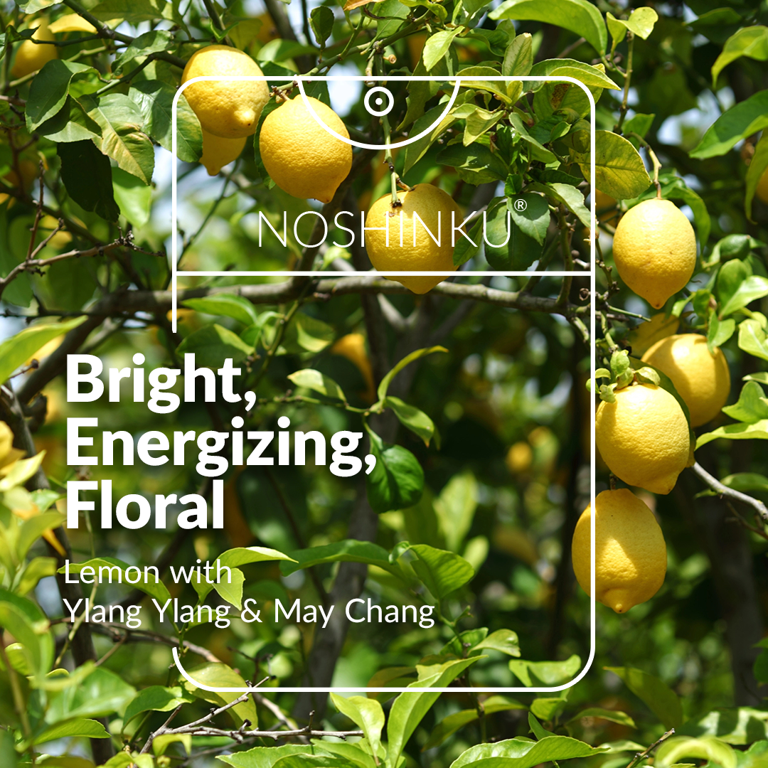 Noshinku Lemon Ylang-Ylang Moisturizing Pocket Sanitizer