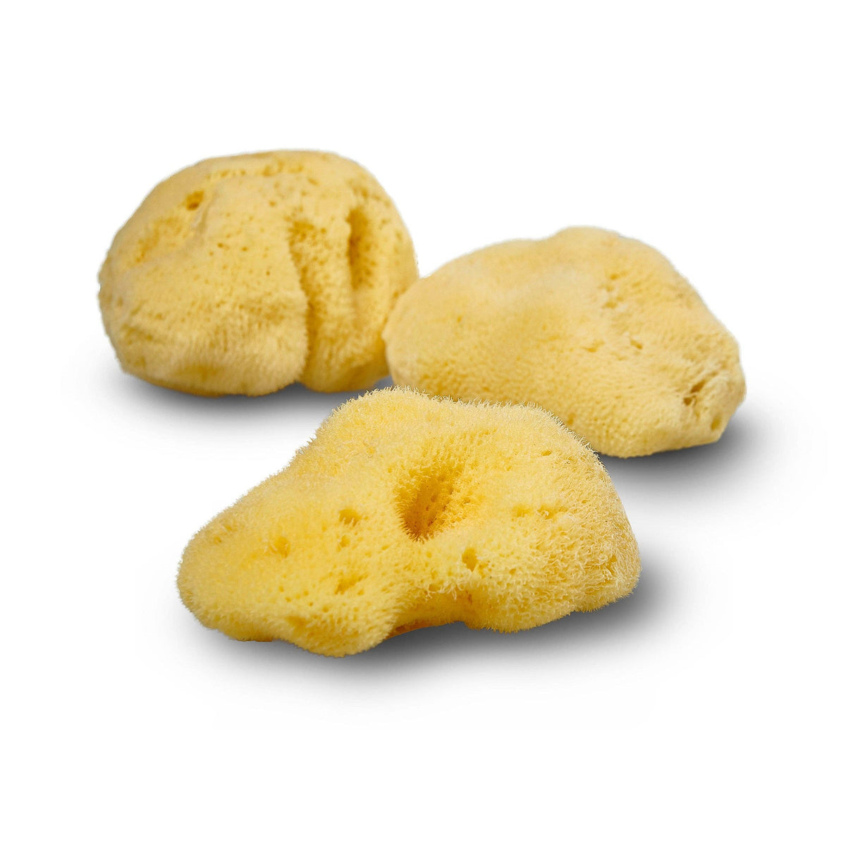 Smile Boutiques Natural Sea Sponge