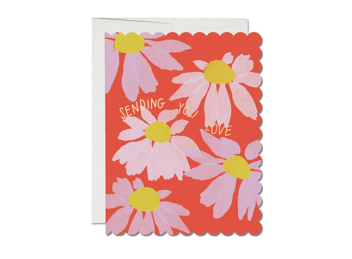 Red Cap Cards | Scalloped Coneflower Sympathy Greeting Card