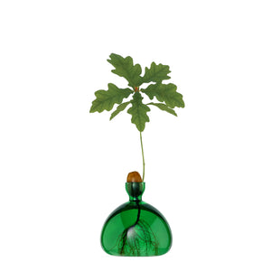 ILEX STUDIO Acorn Vase  | Emerald Green