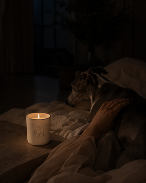 Bougie Poochie Candles - Unconditional Love Candle