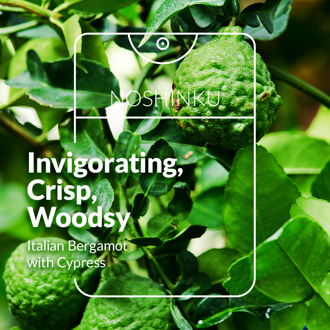 Noshinku Bergamot Ultra-Moisturizing Pocket Hand Sanitizer