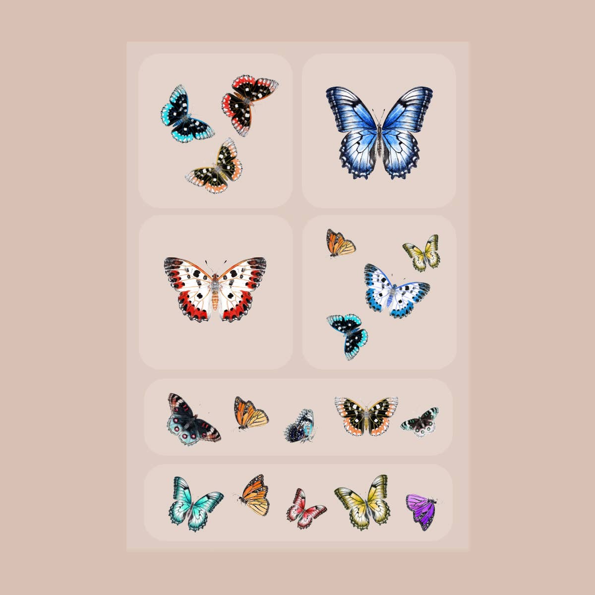 Barriere Brains & Beauty Vitamin Patch 6pk | Butterflies Print