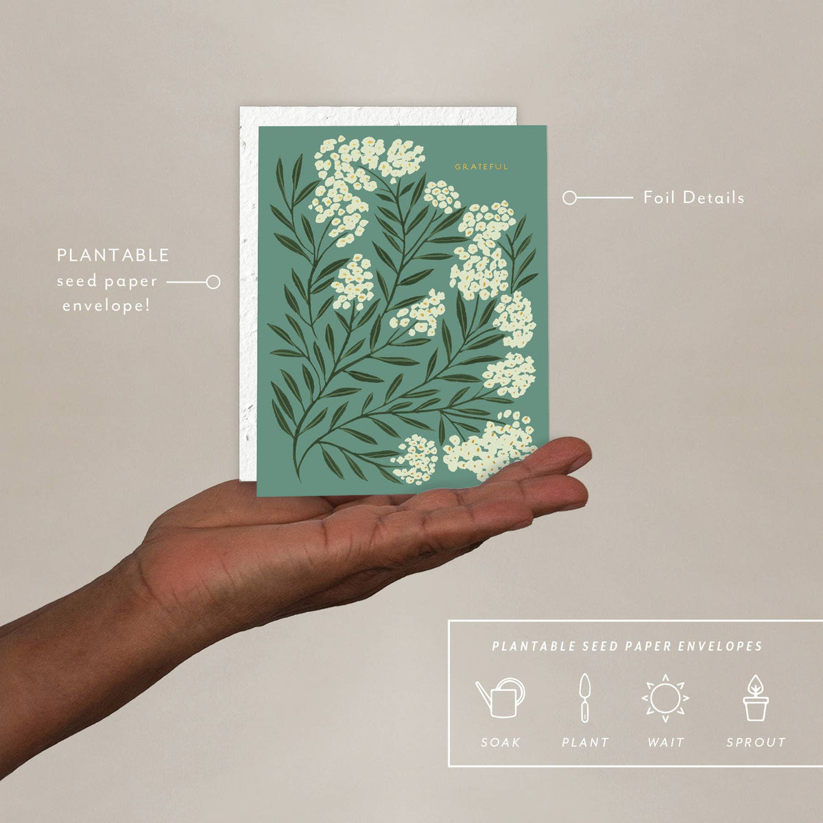 Seedlings Grateful | Thank You Card