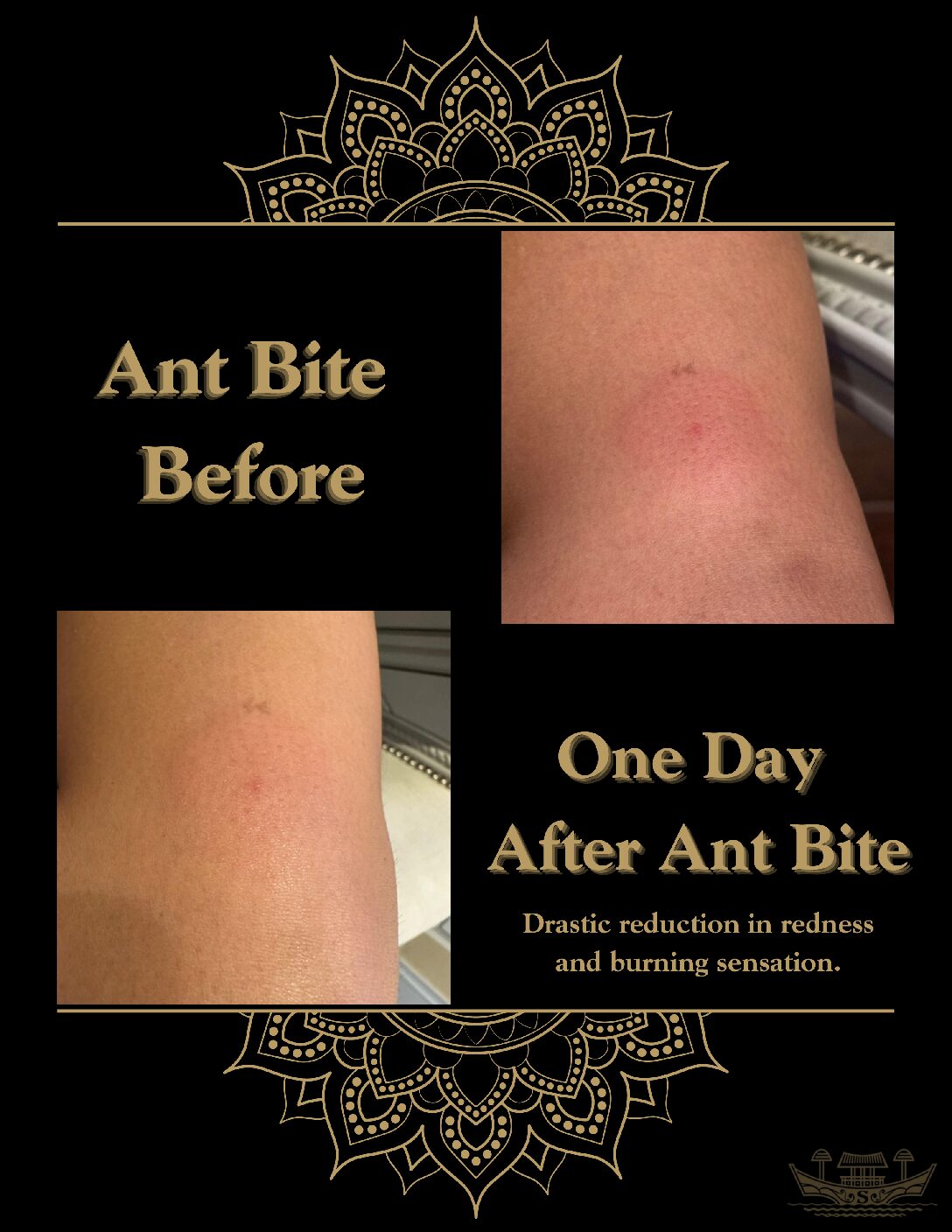 Siam Seas The Guardian | Mother of All Serums