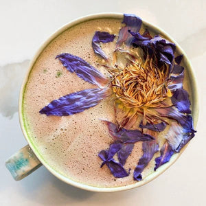 Anima Mundi Blue Lotus Tea | Flower of Intuition
