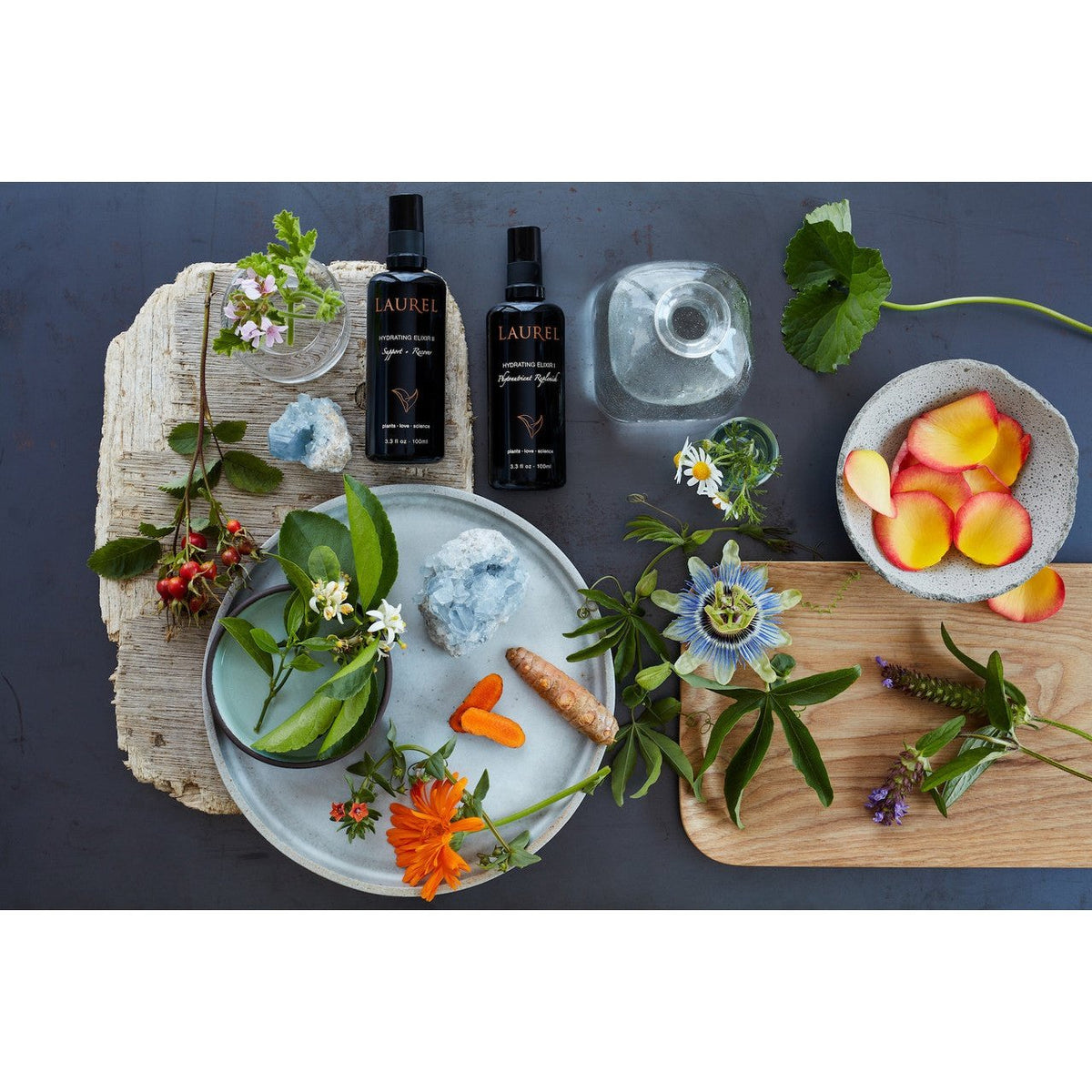 Laurel Hydrating Elixir II ~ Support + Recover