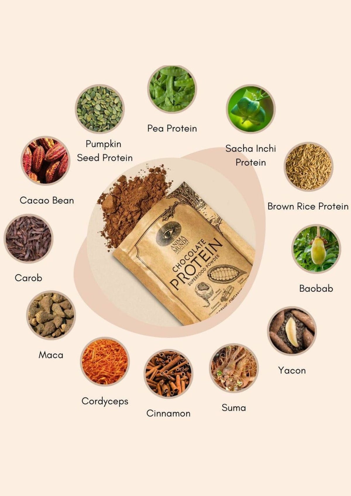 Anima Mundi Chocolate Protein Superfood Powder | organic + adaptogenic