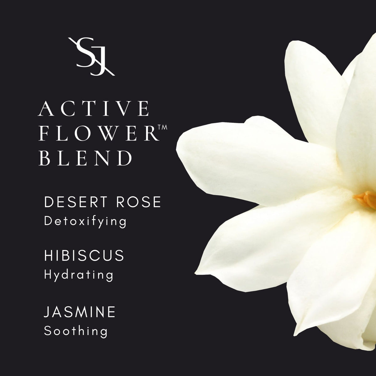 Saint Jane Luxury Sun Ritual - Pore Smoothing SPF 30 Sunscreen