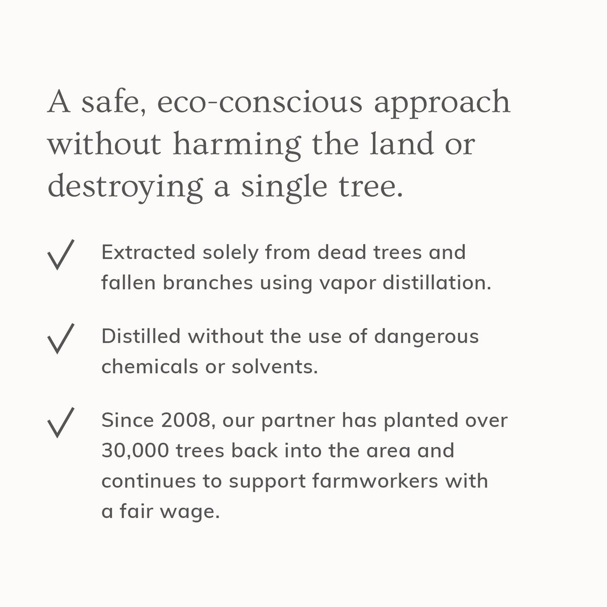 AnnMarie Skin Care Palo Santo Hair & Body Mist