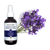 Pranarom Lavender Hydrosol | 4oz