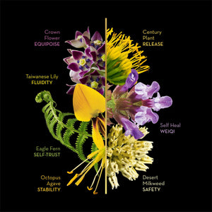 LOTUSWEI Sacred Body Flower Elixir Supplement