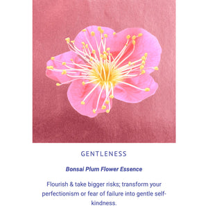 LOTUSWEI Flower Elixir | Divine Within