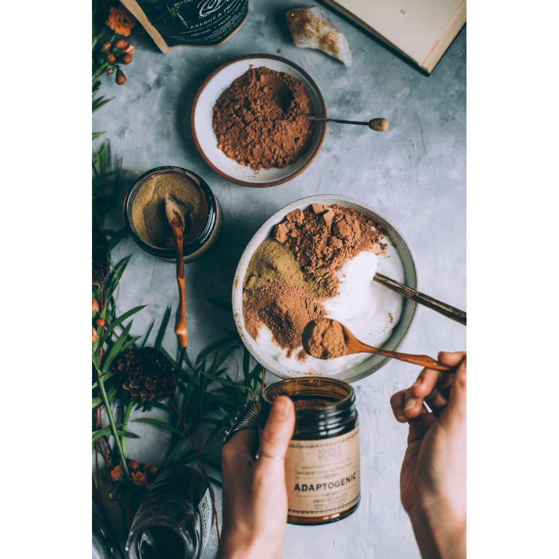 Anima Mundi ADAPTOGENIC IMMORTALITY : ORGANIC 7 MUSHROOMS + HEIRLOOM CACAO