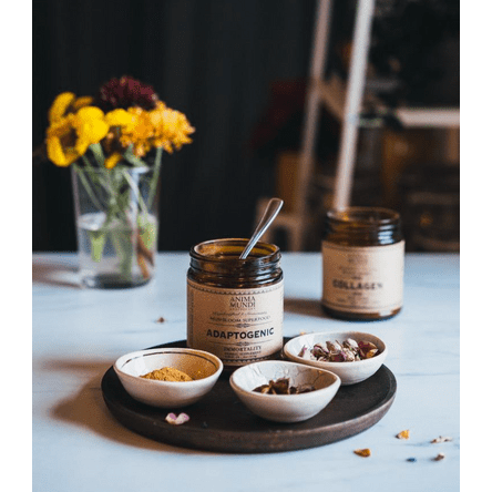 Anima Mundi Adaptogenic Immortality Powder | Organic 7 Mushrooms + Heirloom Cacao