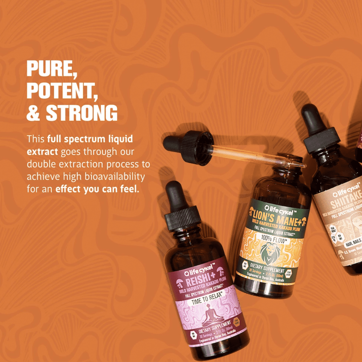 Life Cykel Mushrooms ~ Turkey Tail+ Liquid Double Extract 60ml