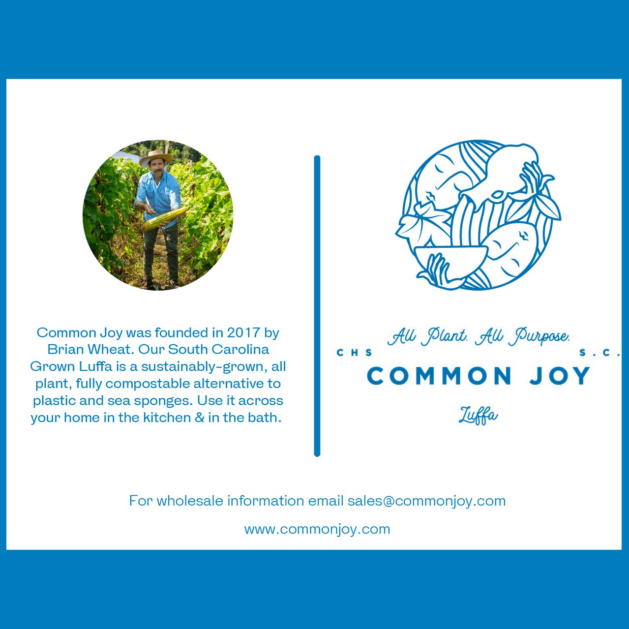 Common Joy Luffa Sponge ~ Locally Grown!