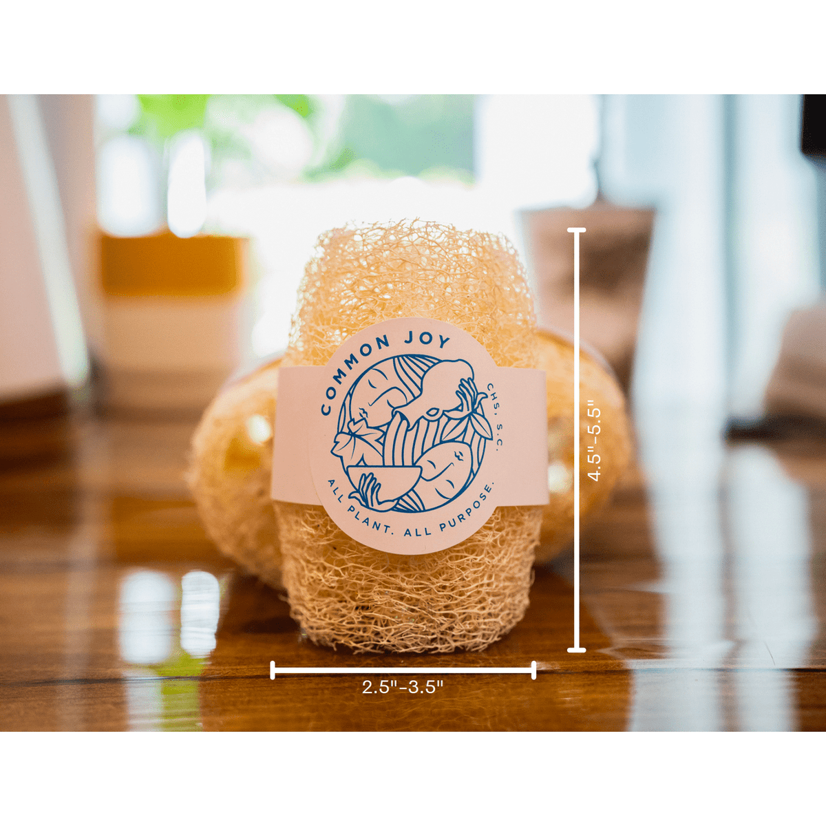 Common Joy Luffa Sponge ~ Locally Grown!