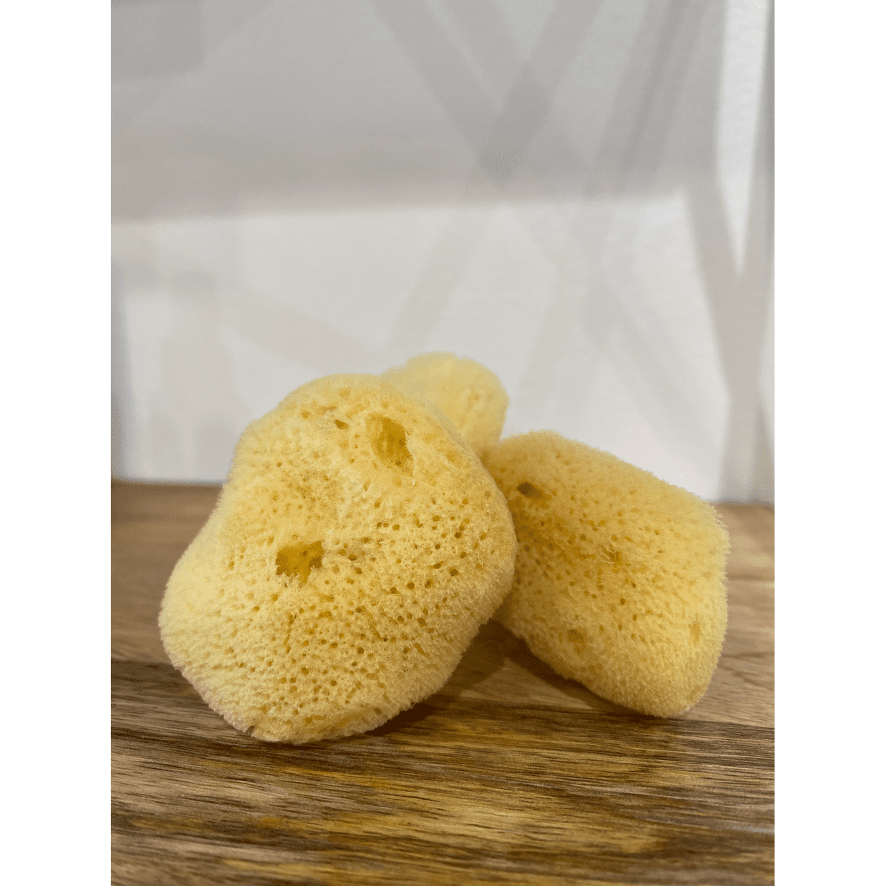 LINNE Facial Sea Sponge ~ Small